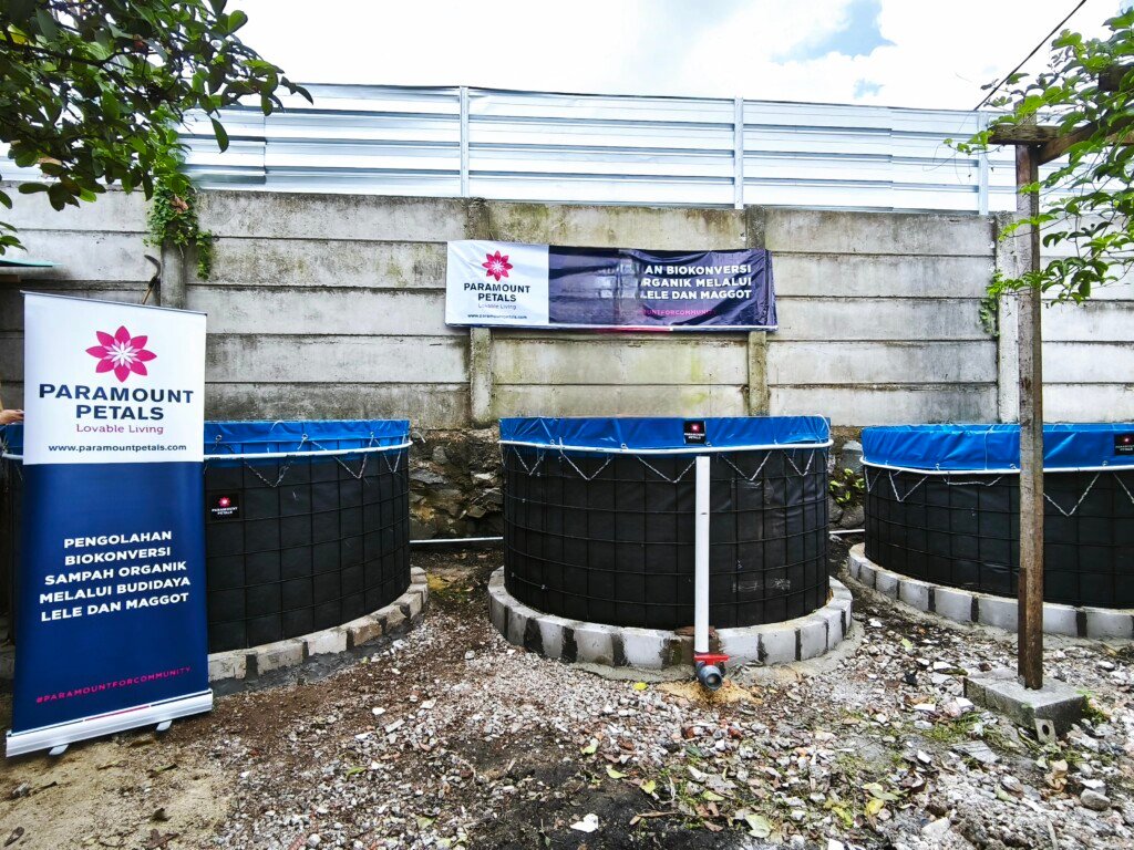 kolam bioflok budidaya lele, program csr paramount petals