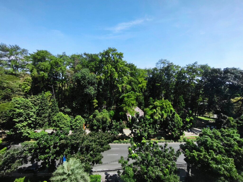 grand savero hotel bogor, travel experience, hotel di bogor, kebun raya bogor