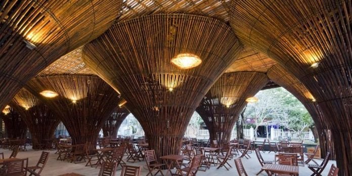 bambu hijau