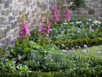 Desain luar ruang 8 – Adding Violet Vibes