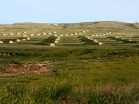 vivos-bunker-4_landscape2