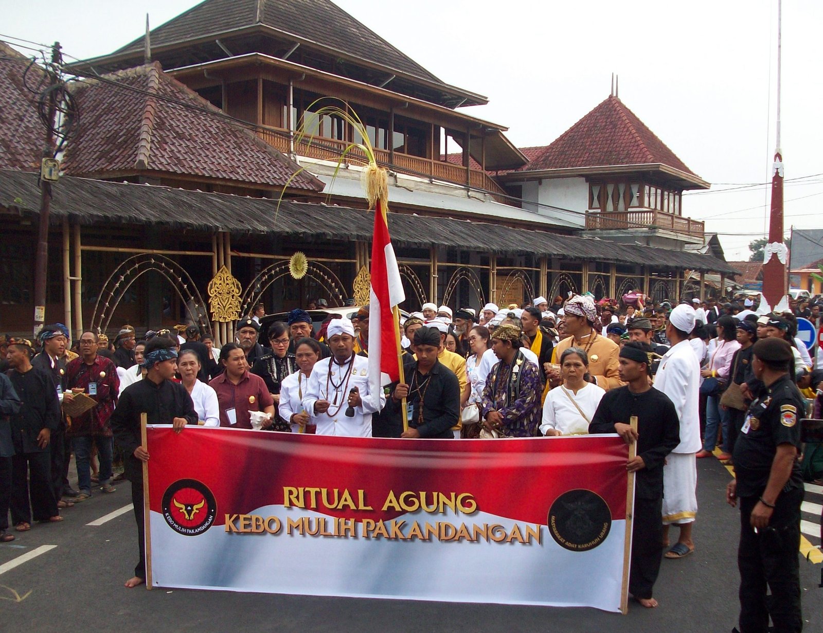 Kebo Mulih Pakandangan