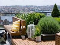 1. small-roof-terrace