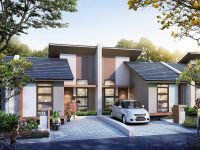 PADMAGRIYA – Tipe 6 Asoka – low