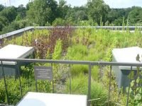 Sidwell Friends School extensive green roof – Washington, DC