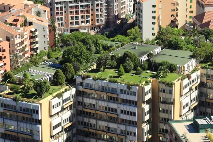 Pentingnya Konsep Green Roof di Perkotaan