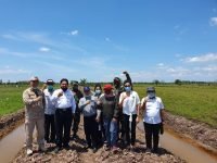 food estate di kalimantan tengah