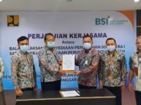 program bsps