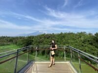 Foto dengan latar belakang gunung dan hamparan sawah di Sky Deck