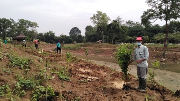 Normalisasi Sungai Kalikalapa 4 Kegiatan normalisasi dan penanaman pohon di Sungai Kalikalapa, Desa Wadas, Kecamatan Telukjambe Timur, Karawang
