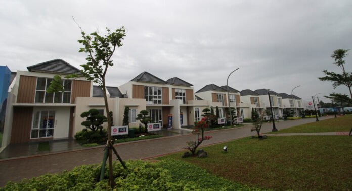 new aster paramount petals dan kombinasi warna