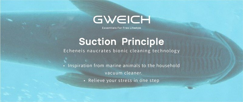 Vacuum cleaner Gweich