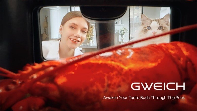 Alat penggoreng tanpa minyak Gweich Indonesia