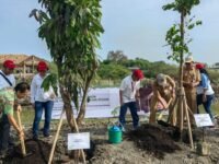 sinar mas land tanam pohon di kabupaten tangerang