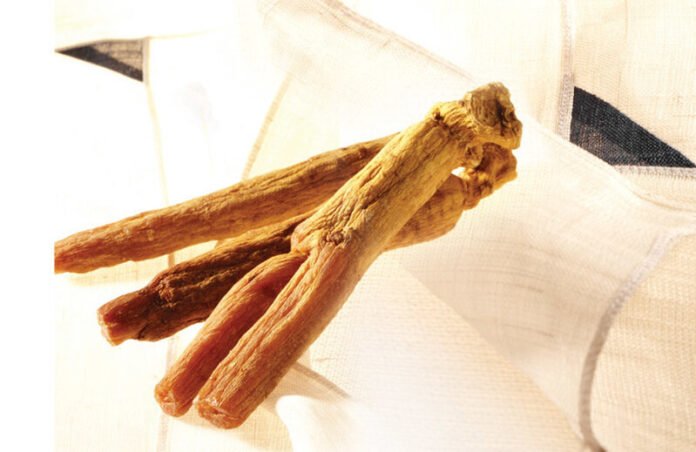 Ginseng Merah