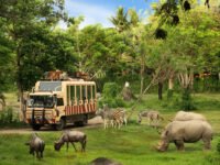 wisata ke Bali Safari Park Bali