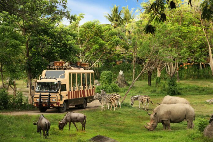 wisata ke Bali Safari Park Bali