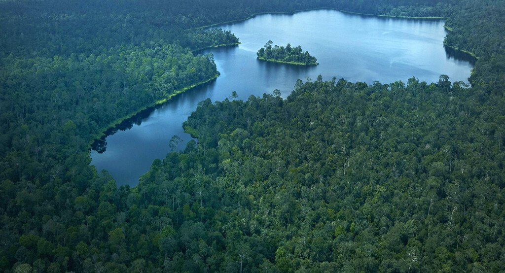 komitmen april menanam pohon