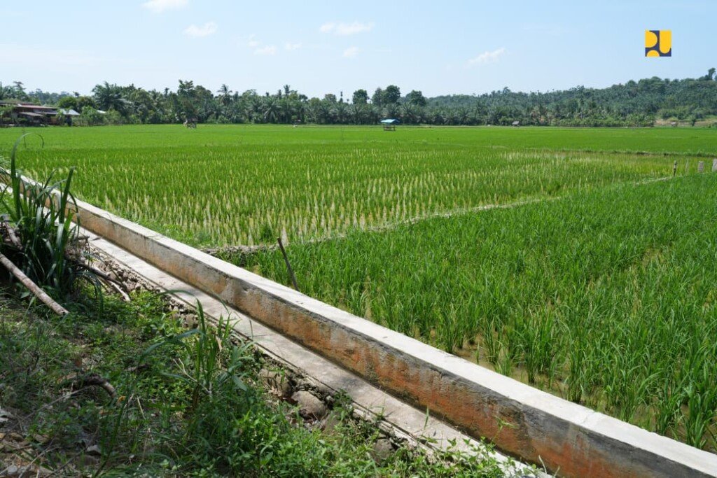 jaringan irigasi pertanian, infrastruktur irigasi