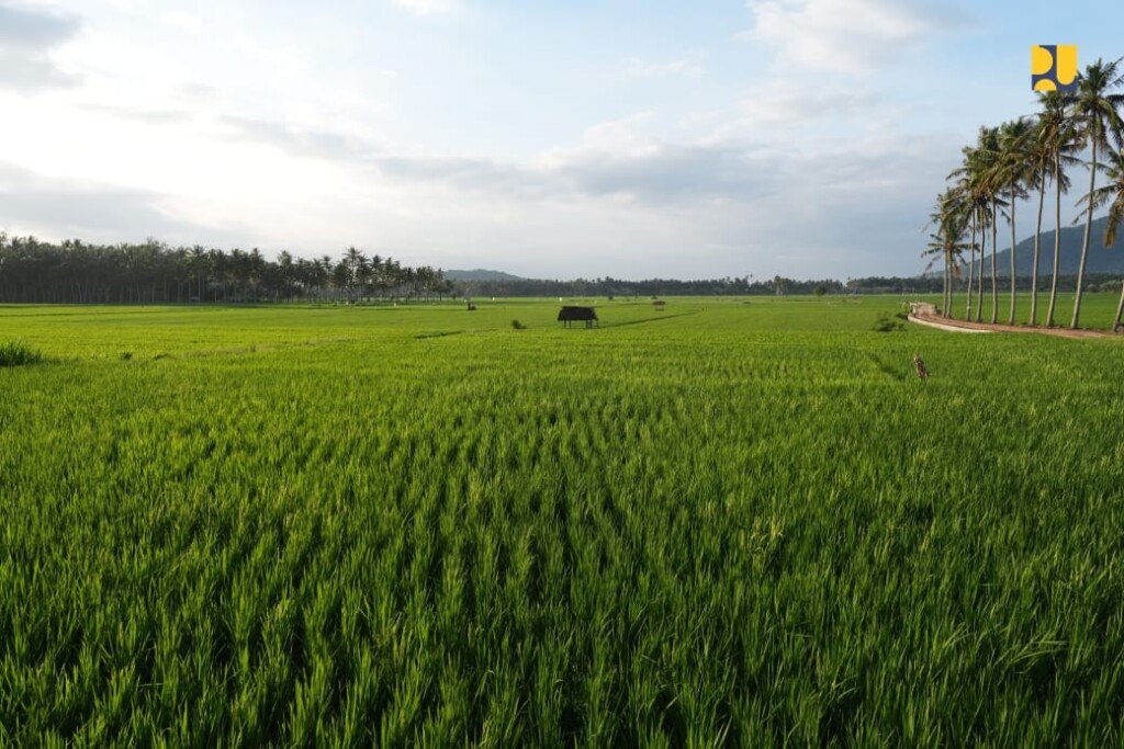 irigasi persawahan,