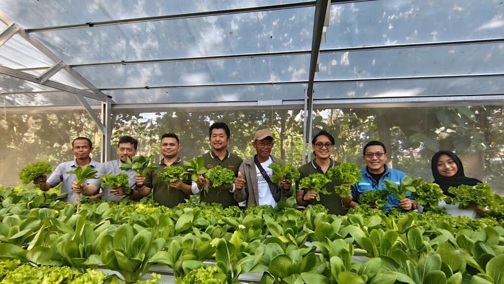 Presiden Direktur PT Sharp Indonesia dan peserta Sharp Hydro Heroes sedang melakukan panen hidroponik.