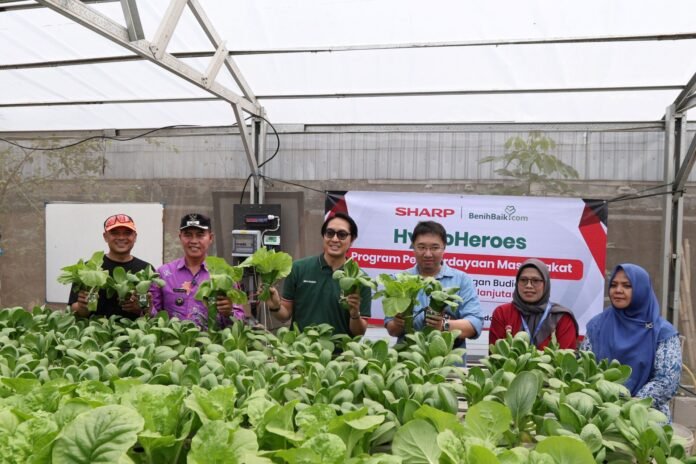 sharp-hydro-heroes-bekasi-hasil-panen-hidroponik program Sharp Hydro Heroes di Bekasi