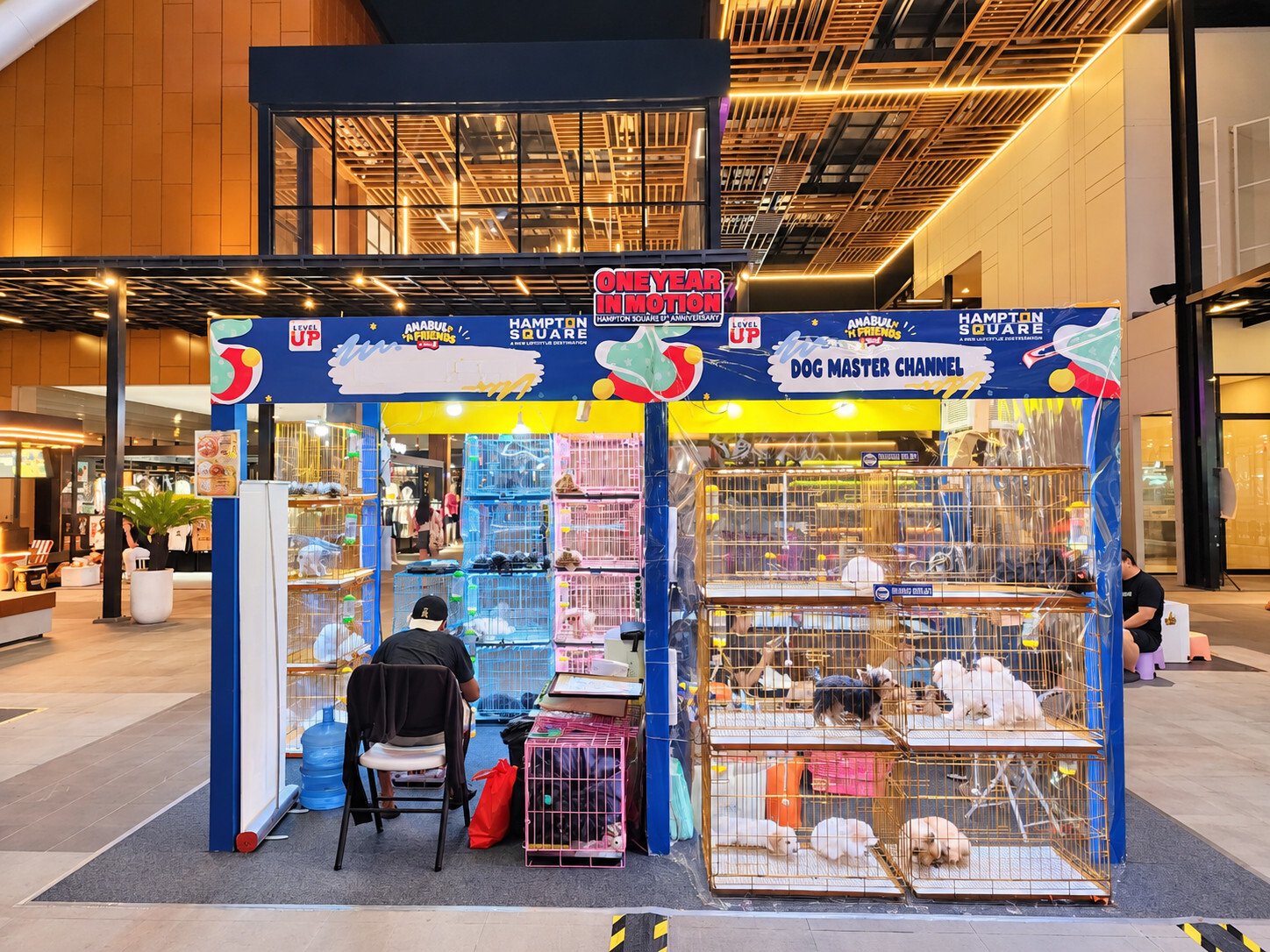 Hampton Square Paramount Gading Serpong menghadirkan Pet Expo Anabul N’Friends dalam rangkaian anniversary pertama.